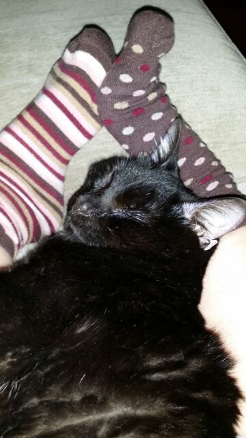 Charlie, photo 98