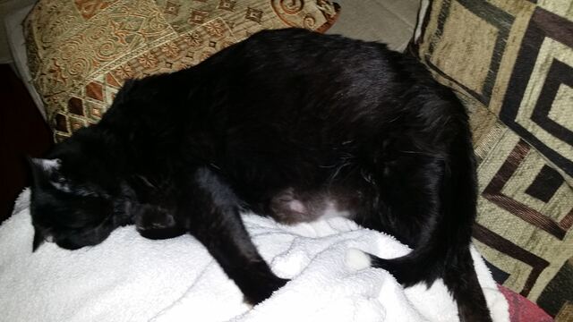 Charlie, photo 104