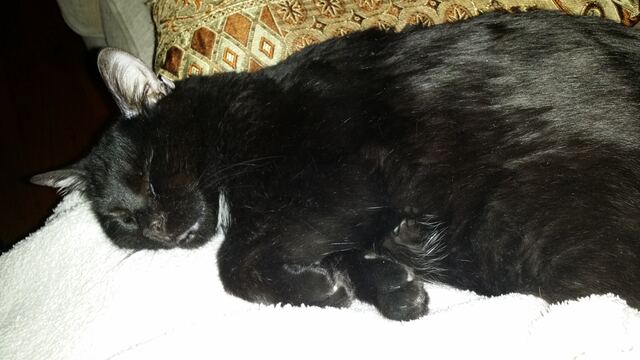 Charlie, photo 106
