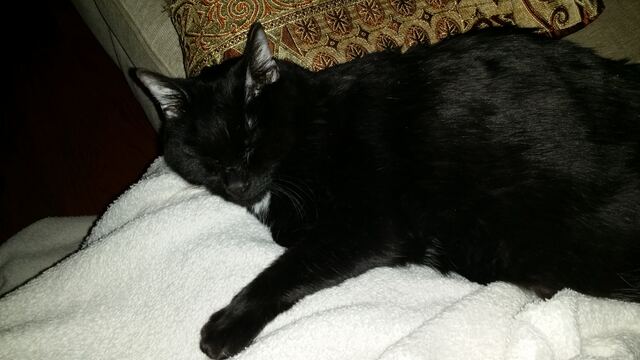 Charlie, photo 109