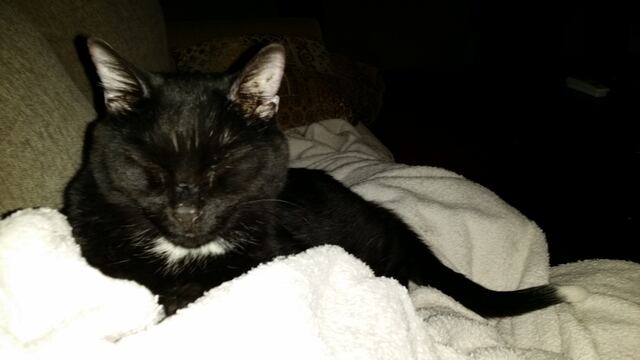 Charlie, photo 112