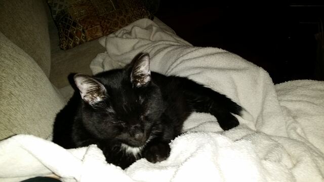 Charlie, photo 113