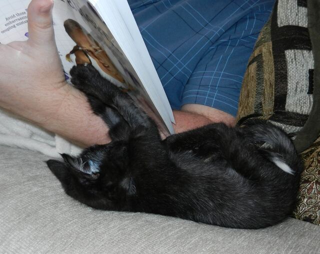 Charlie, photo 45