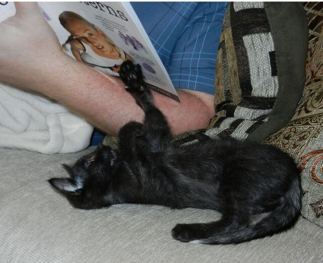 Charlie, photo 41