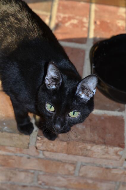 Charlie, photo 75
