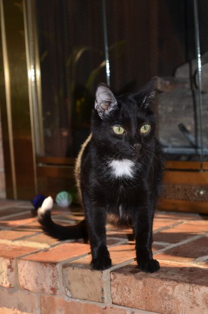 Charlie, photo 77