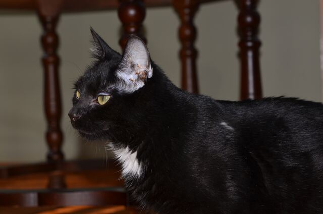 Charlie, photo 80