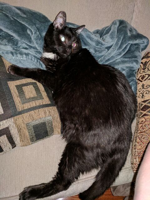Charlie, photo 117