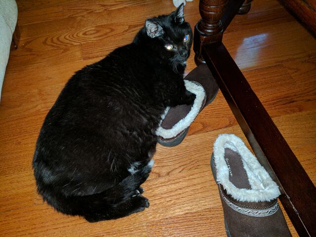 Charlie, photo 119